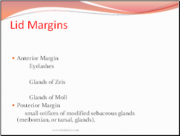 Lid Margins