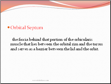 Orbital Septum