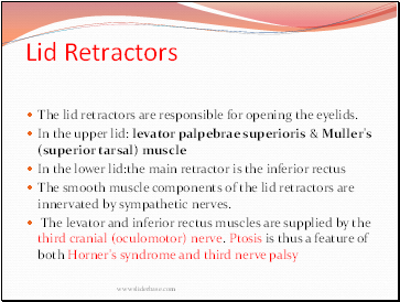 Lid Retractors