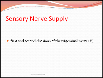 Sensory Nerve Supply