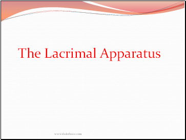 The Lacrimal Apparatus