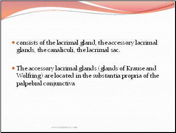 consists of the lacrimal gland, the accessory lacrimal glands, the canaliculi, the lacrimal sac.