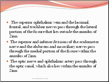 The superior ophthalmic vein and the lacrimal, frontal, and trochlear nerves pass through the lateral portion of the fissure that lies outside the annulus of Zinn.