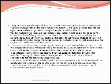 The principal arterial supply of the orbit : ophthalmic artery( the first major branch of the intracranial portion of the internal carotid artery). This branch passes beneath the optic nerve and accompanies it through the optic canal into the orbit.