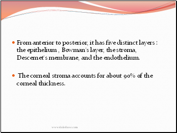 From anterior to posterior, it has five distinct layers : the epithelium , Bowman's layer, the stroma, Descemet's membrane, and the endothelium.