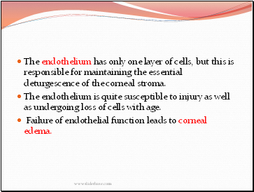 The endothelium has only one layer of cells, but this is responsible for maintaining the essential deturgescence of the corneal stroma.