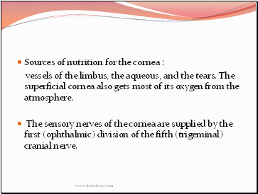 Sources of nutrition for the cornea :