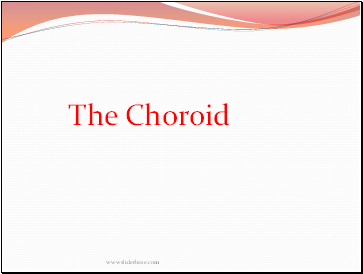 The Choroid