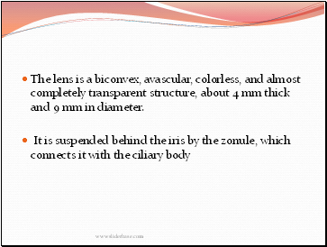 The lens is a biconvex, avascular, colorless, and almost completely transparent structure, about 4 mm thick and 9 mm in diameter.