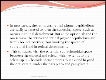 In most areas, the retina and retinal pigment epithelium are easily separated to form the subretinal space, such as occurs in retinal detachment. But at the optic disk and the ora serrata, the retina and retinal pigment epithelium are firmly bound together, thus limiting the spread of subretinal fluid in retinal detachment.