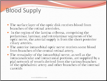 Blood Supply