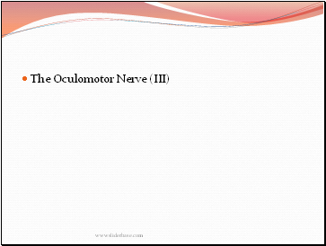 The Oculomotor Nerve (III)