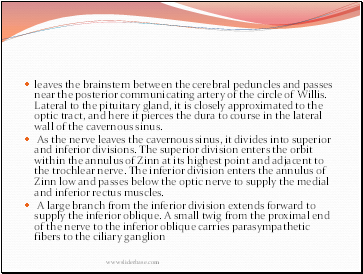 leaves the brainstem between the cerebral peduncles and passes near the posterior communicating artery of the circle of Willis. Lateral to the pituitary gland, it is closely approximated to the optic tract, and here it pierces the dura to course in the lateral wall of the cavernous sinus.