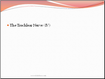 The Trochlear Nerve (IV)