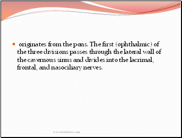 originates from the pons. The first (ophthalmic) of the three divisions passes through the lateral wall of the cavernous sinus and divides into the lacrimal, frontal, and nasociliary nerves.
