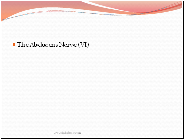 The Abducens Nerve (VI)