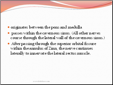 originates between the pons and medulla