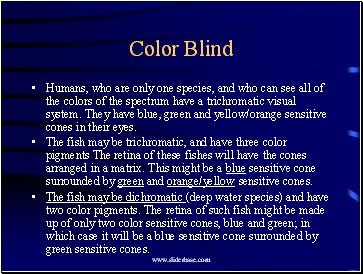 Color Blind