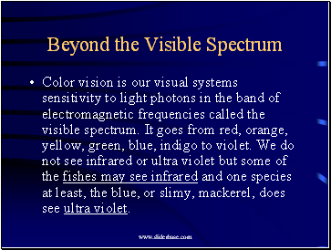 Beyond the Visible Spectrum