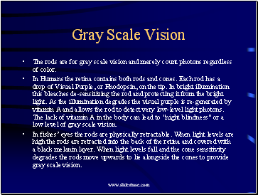Gray Scale Vision