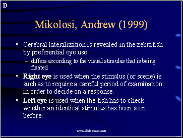 Mikolosi, Andrew (1999)