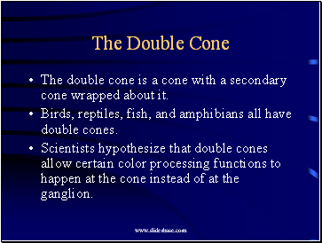 The Double Cone