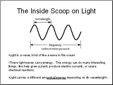 The Inside Scoop on Light