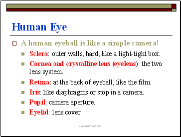 Human Eye