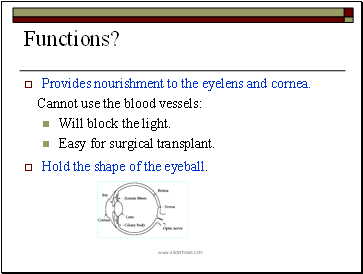 Functions?