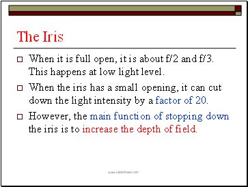 The Iris