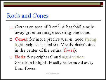 Rods and Cones