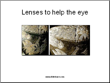 Lenses to help the eye