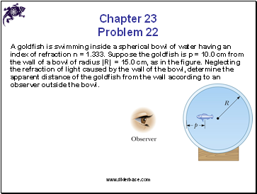 Chapter 23 Problem 22