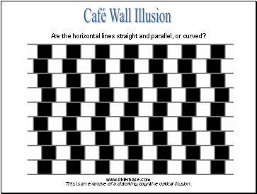 Café Wall Illusion