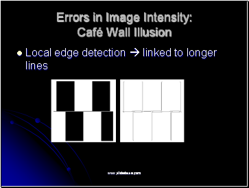 Errors in Image Intensity: Café Wall Illusion