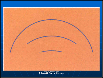 Tolanski Curve Illusion