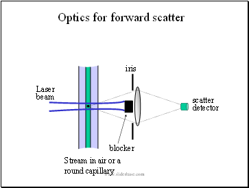 Optics for forward scatter