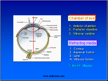 Refracting media