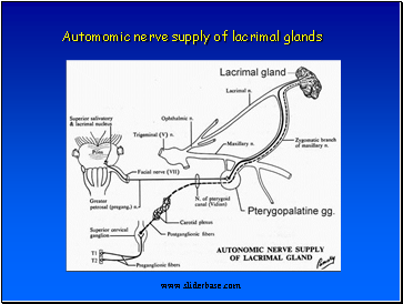 Automomic nerve supply of lacrimal glands