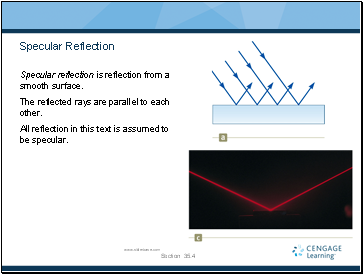 Specular Reflection