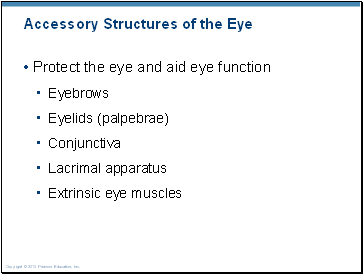 Accessory Structures of the Eye
