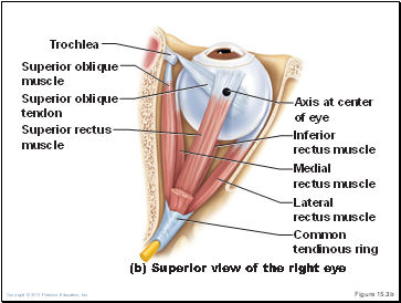 Figure 15.3b