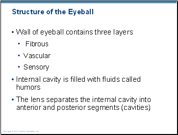 Structure of the Eyeball