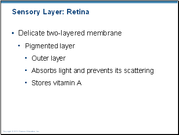 Sensory Layer: Retina