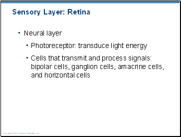 Sensory Layer: Retina