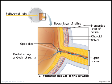 Figure 15.6a