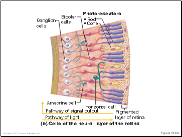 Figure 15.6b