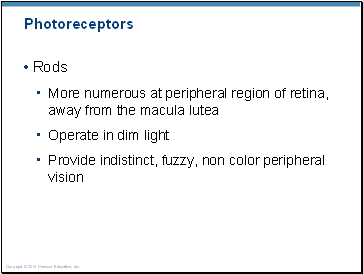 Photoreceptors