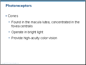 Photoreceptors