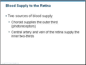 Blood Supply to the Retina